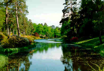 Leonardslee Lakes