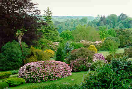 Leonardslee View